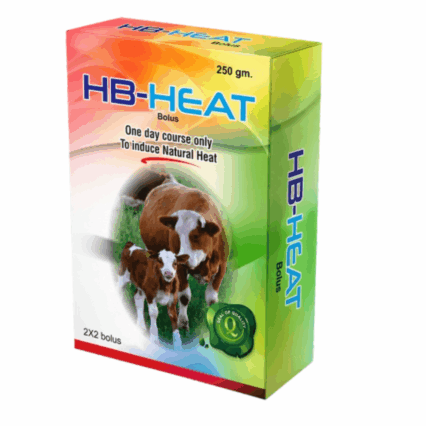HB-HEAT Bolus — One-Day Course to Support Natural Heat Induction