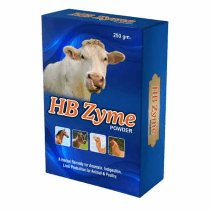 HB Zyme Powder — Herbal Remedy for Anorexia, Indigestion & Liver Support