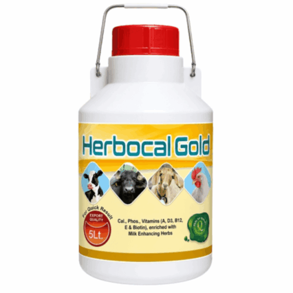 Herbocal Gold — Calcium, Phosphorus & Vitamin Supplement with Milk Enhancing Herbs