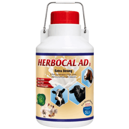 Herbocal AD3 Extra Strong — Rich Combination of Cal., Phos., Vitamins enriched with Satavari