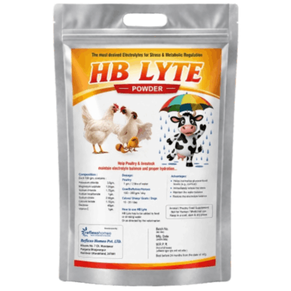HB Lyte Powder — Electrolytes for Stress & Metabolic Regulation