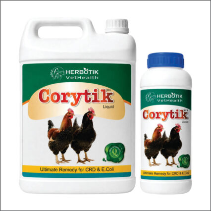 Corytik Liquid — Ultimate Remedy for CRD & E.Coli