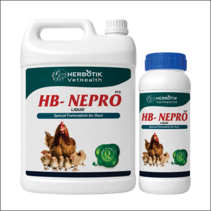 HB-Nepro Liquid — Special Formulation for Gout
