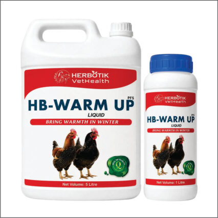 HB-Warm Up Liquid — Bring Warmth in Winter
